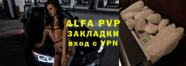 амф Верея
