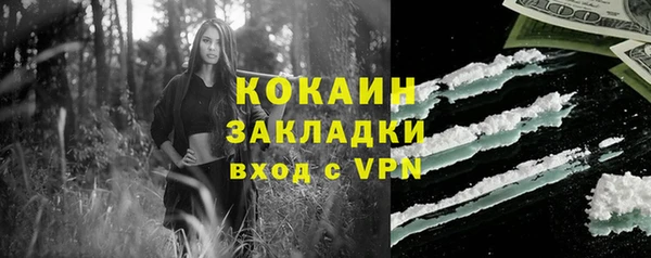 амф Верея