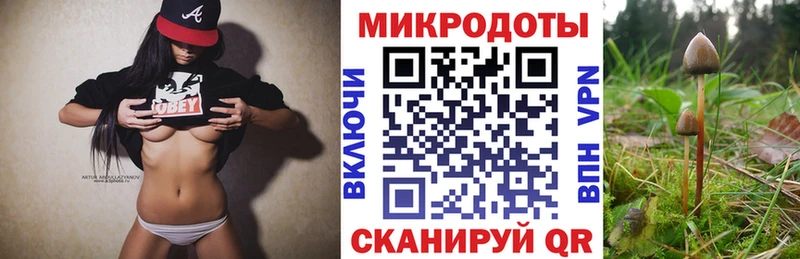 Псилоцибиновые грибы Cubensis  Люберцы 
