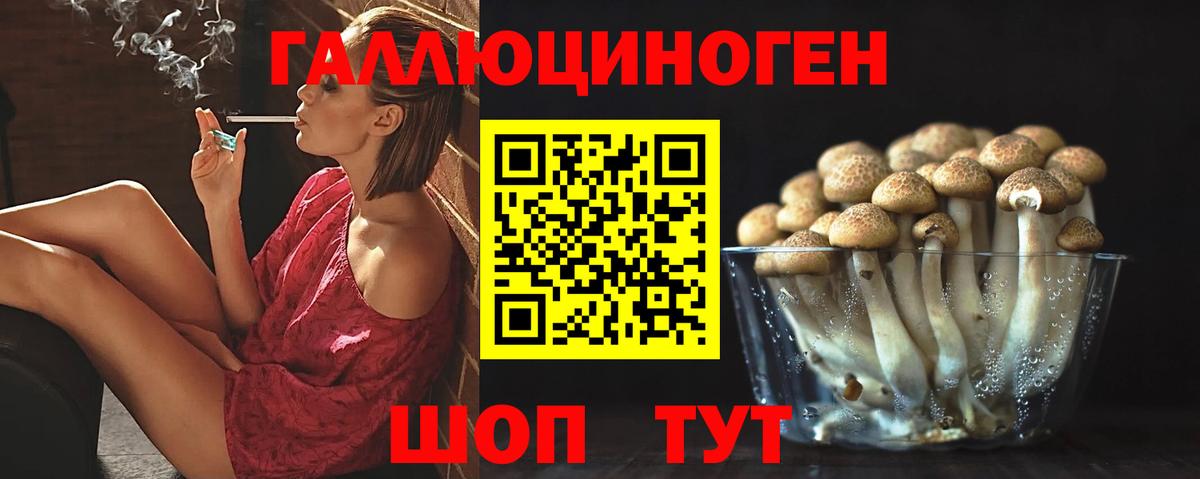 Псилоцибиновые грибы GOLDEN TEACHER  Псилоцибиновые грибы Psilocybe  Вход с VPN  даркнет сайт  Люберцы 